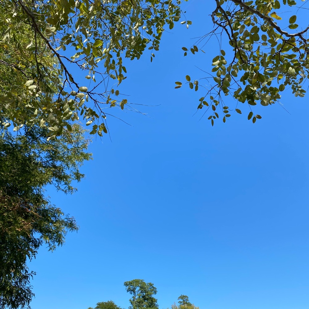 Meet your Posher, Yunah